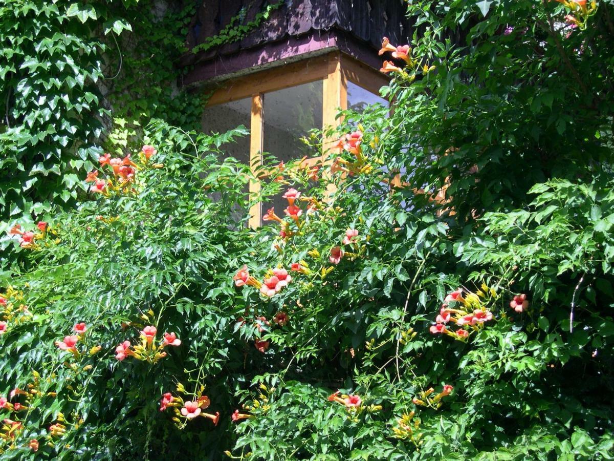 Obergereuth Hof 1288 Apartment San Martino In Passiria  Exterior photo